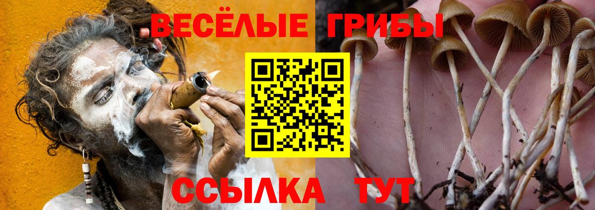 купить закладку  Псилоцибиновые грибы Magic Shrooms  Вход с VPN  Междуреченск  Галлюциногенные грибы MAGIC MUSHROOMS 