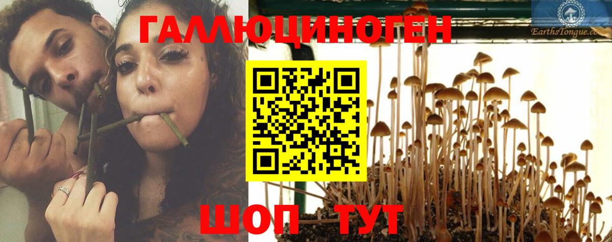 Галлюциногенные грибы GOLDEN TEACHER Междуреченск